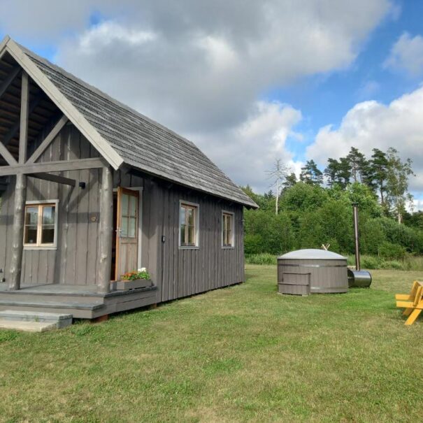 Brīvdienu māja Lejnieki